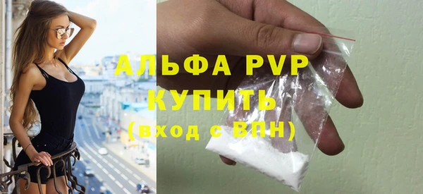 твердый Магас