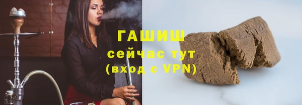 твердый Магас