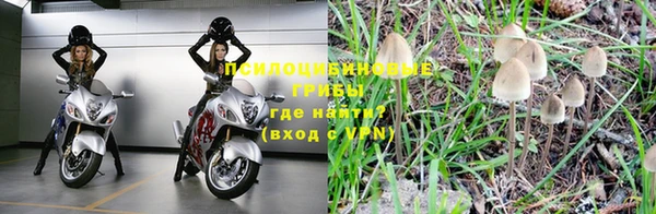 каннабис Майский