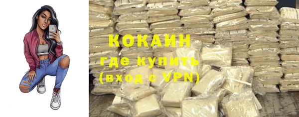 твердый Магас