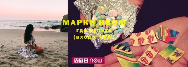 твердый Магас