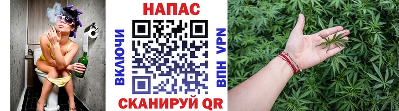 Купить  Каргополь  Канабис гибрид 